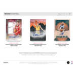 2024/25 Panini Origins Basketball Hobby 12 Box Case - Image 2