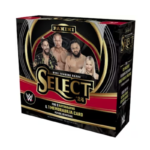 2024 Panini Select WWE Hobby 12 Box Case