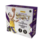 2024/25 Panini Select Basketball Hobby 12 Box Case